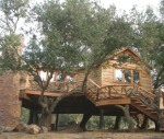 The Ramona Treehouse
